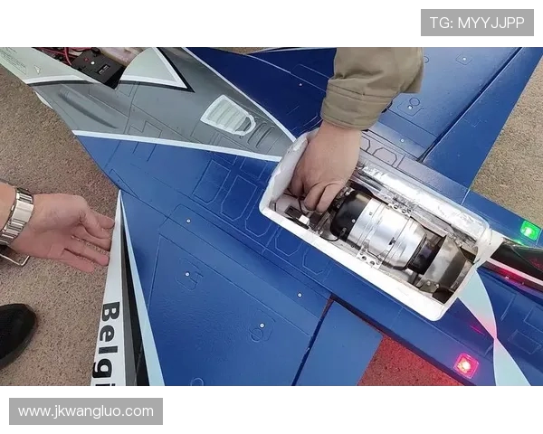 鍙嬭皧绗竴锛屾瘮璧涚鍗佸洓锛氫綋鑲茬簿绁炵殑姘告亽涔嬪厜